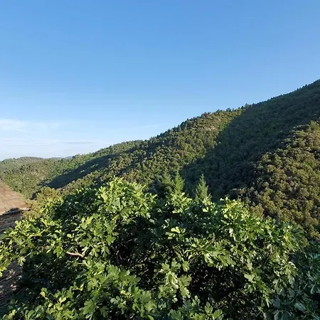 Ferienhaus En Cevennes 40 M2 - Confort, Climatise Et Vue Sur La Vallee *