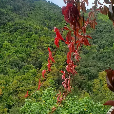 En Cevennes 40 M2 - Confort, Climatise Et Vue Sur La Vallee Ferienhaus