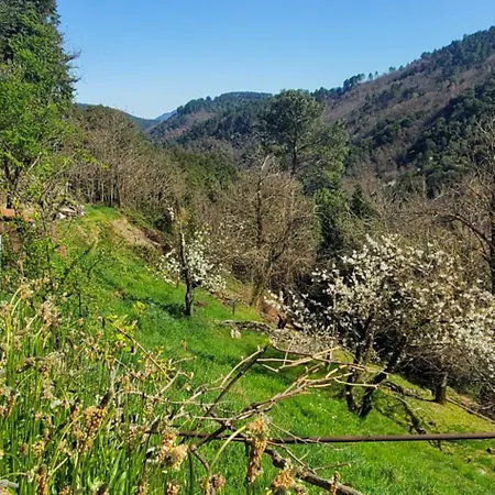 En Cevennes 40 M2 - Confort, Climatise Et Vue Sur La Vallee * Saint-Privat-de-Vallongue