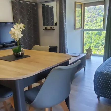 En Cevennes 40 M2 - Confort, Climatise Et Vue Sur La Vallee Ferienhaus *
